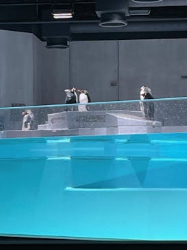 AOAO SAPPOROに投稿された画像（2024/4/11）