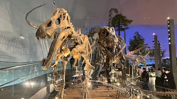 福井県立恐竜博物館に投稿された画像（2024/4/11）