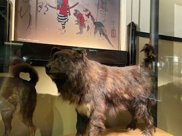 国立科学博物館に投稿された画像（2024/4/11）