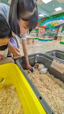 いきもの探検隊上尾に投稿された画像（2024/4/11）