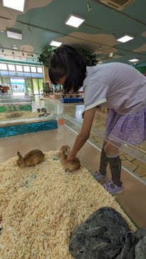 いきもの探検隊上尾に投稿された画像（2024/4/11）