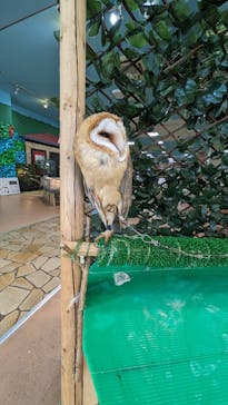 いきもの探検隊上尾に投稿された画像（2024/4/11）