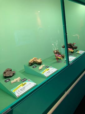 オダイバ恐竜博覧会2024 -福井から“ヤツラ”が新幹線でやってくる！-に投稿された画像（2024/4/11）