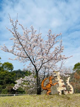 おもちゃ王国（岡山）に投稿された画像（2024/4/11）