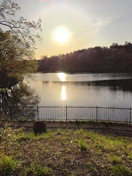 ムーミンバレーパークに投稿された画像（2024/4/12）