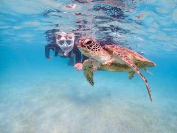 初心者専門宮古島シュノーケリングツアーに投稿された画像（2024/4/12）