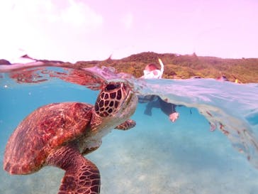 初心者専門宮古島シュノーケリングツアーに投稿された画像（2024/4/12）