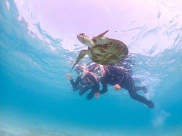 初心者専門宮古島シュノーケリングツアーに投稿された画像（2024/4/12）