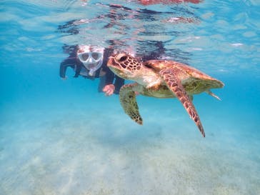 宮古島マリンショップSmileyに投稿された画像（2024/4/12）