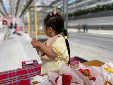 空飛ぶいちご東京に投稿された画像（2024/4/12）