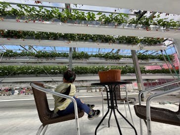 空飛ぶいちご東京に投稿された画像（2024/4/12）