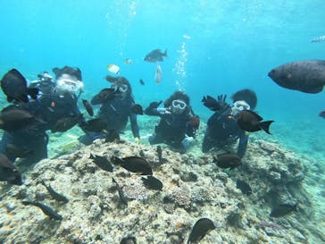 武藤潜水に投稿された画像（2024/4/12）