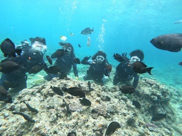 武藤潜水に投稿された画像（2024/4/12）