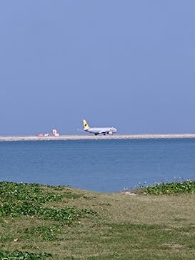 BLAHAV151（ブラハヴ151）に投稿された画像（2024/4/12）