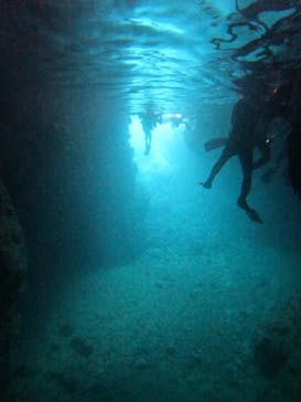 沖縄マリンサービス碧に投稿された画像（2024/4/12）