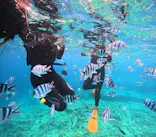 沖縄マリンサービス碧に投稿された画像（2024/4/12）