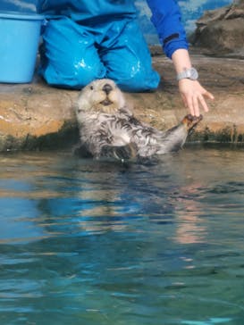 マリンワールド海の中道に投稿された画像（2024/4/12）