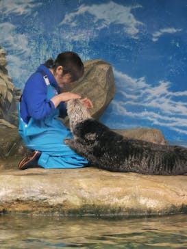 マリンワールド海の中道に投稿された画像（2024/4/12）