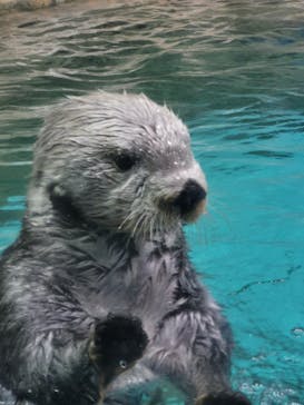 マリンワールド海の中道に投稿された画像（2024/4/12）