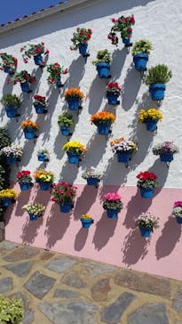 志摩スペイン村パルケエスパーニャに投稿された画像（2024/4/12）