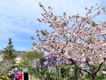 浜名湖花博2024に投稿された画像（2024/4/12）