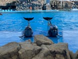 名古屋港水族館に投稿された画像（2024/4/12）