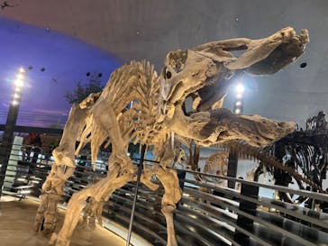 福井県立恐竜博物館に投稿された画像（2024/4/12）