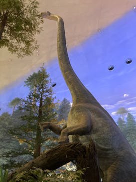 福井県立恐竜博物館に投稿された画像（2024/4/12）