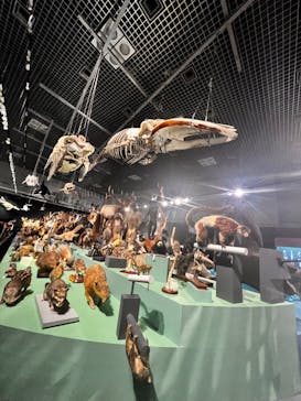 アソビュー！ポイントに投稿された画像（2024/4/12）