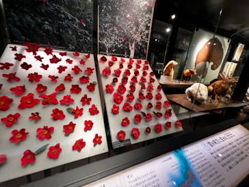 アソビュー！ポイントに投稿された画像（2024/4/12）