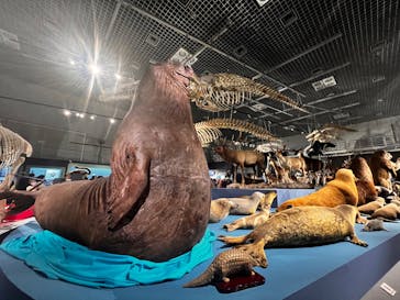 アソビュー！ポイントに投稿された画像（2024/4/12）