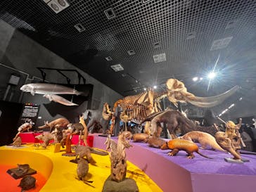 アソビュー！ポイントに投稿された画像（2024/4/12）