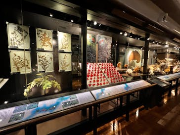 特別展「大哺乳類展３－わけてつなげて大行進」に投稿された画像（2024/4/12）