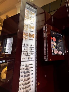 特別展「大哺乳類展３－わけてつなげて大行進」に投稿された画像（2024/4/12）