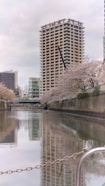 東京ウォータウェイズに投稿された画像（2024/4/12）