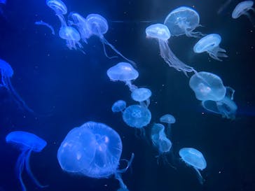 AOAO SAPPOROに投稿された画像（2024/4/12）