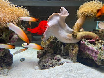 AOAO SAPPOROに投稿された画像（2024/4/12）