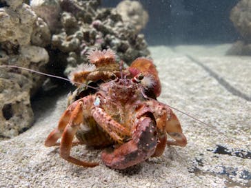 AOAO SAPPOROに投稿された画像（2024/4/12）