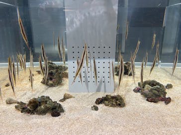 AOAO SAPPOROに投稿された画像（2024/4/12）