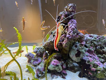 AOAO SAPPOROに投稿された画像（2024/4/12）