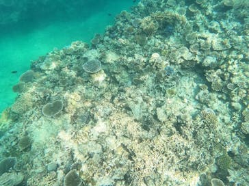 石垣島 ADVENTURE PiPi（イシガキジマアドベンチャーピピ）に投稿された画像（2024/4/12）