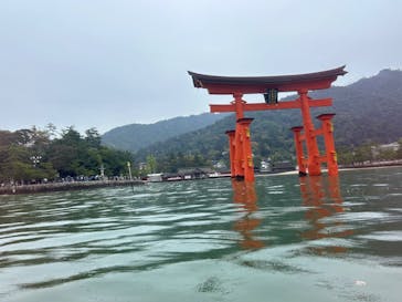 SUP 宮島に投稿された画像（2024/4/12）