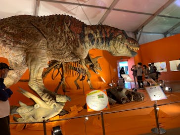 オダイバ恐竜博覧会2024 -福井から“ヤツラ”が新幹線でやってくる！-に投稿された画像（2024/4/12）