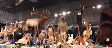 特別展「大哺乳類展３－わけてつなげて大行進」に投稿された画像（2024/4/12）