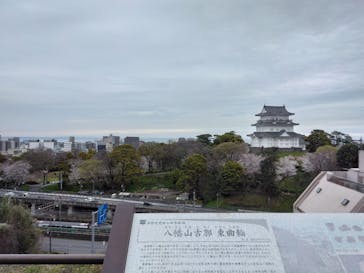 小田原城に投稿された画像（2024/4/12）