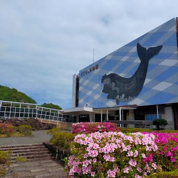 太地町立くじらの博物館に投稿された画像（2024/4/13）