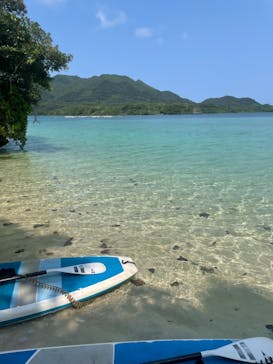 石垣島 ADVENTURE PiPi（イシガキジマアドベンチャーピピ）に投稿された画像（2024/4/13）