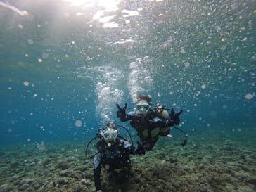 沖縄マリンサービス碧に投稿された画像（2024/4/13）