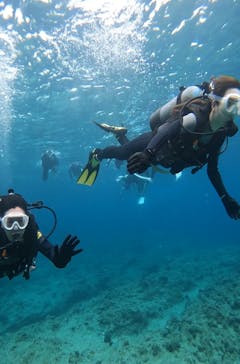 武藤潜水に投稿された画像（2024/4/13）