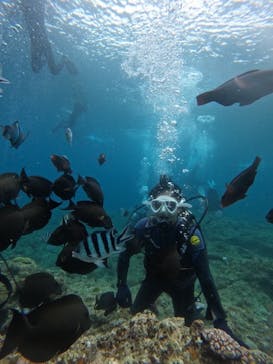 沖縄マリンサービス碧に投稿された画像（2024/4/13）